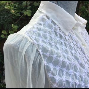 Vintage Chiffon Blouse - Sheer Ivory Embroidery